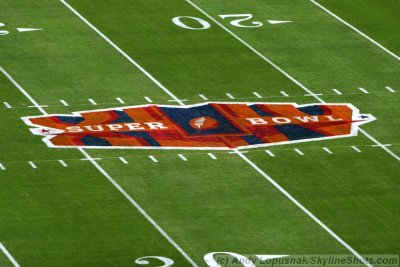Super Bowl XLIV painted logo