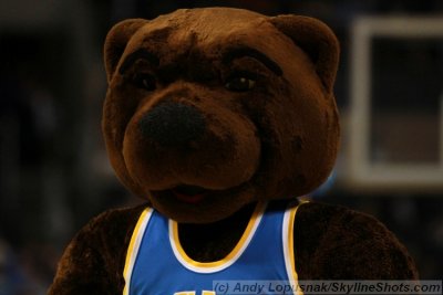 Cal mascot