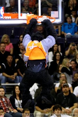 Gorilla - Phoenix Suns mascot