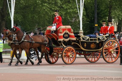 All the Queen's horses
