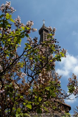 The Eiffel Tower