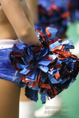 Nashville Kats cheerleader