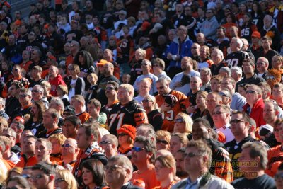 Crowd at the Bengals-Steelers game
