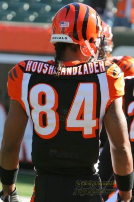Cincinnati Bengals WR T.J. Houshmandzadeh
