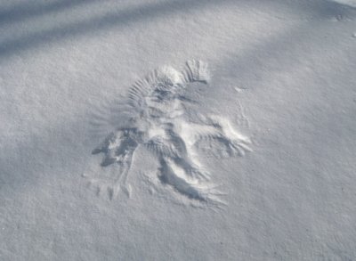 A different kind of Snow Angel