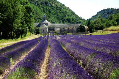 Abbaye de Senanque