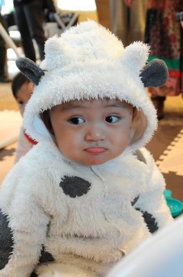 DSC_8240.jpg
