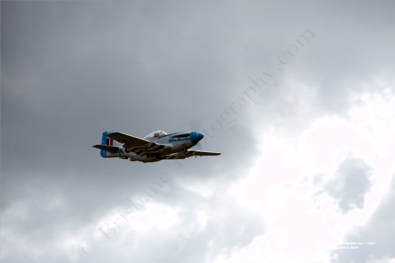 IMG_0150.jpg