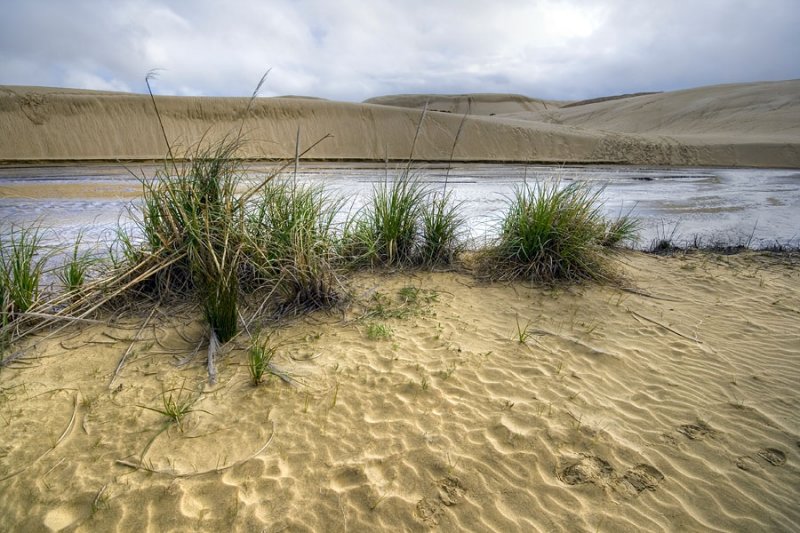 Largest Sand Dunes