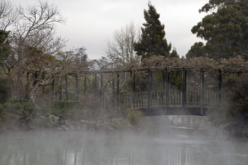 Geothermal activity in Rotorua