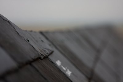 Roof details