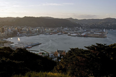 Wellington from Mount Victoria