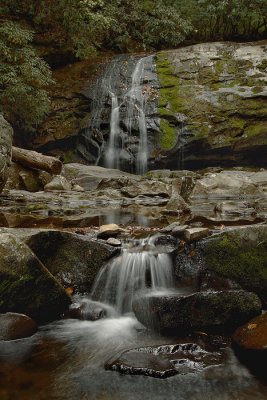 Water Fall   (On the way to Cades Cove)