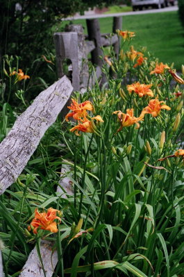 g3/53/770853/3/101668846.yYUsKdx6.jpg