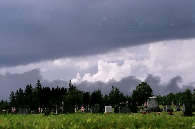 g3/53/770853/3/101668847.qerc7PRU.jpg