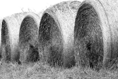 Hay Bales