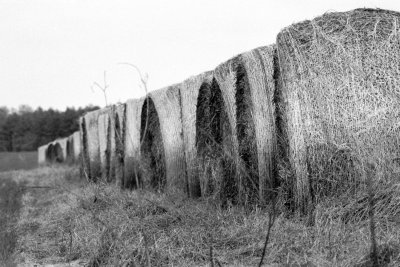 Hay Bales