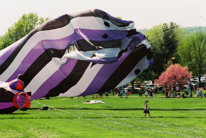 Lg kite small wind    by: Linda Kolie