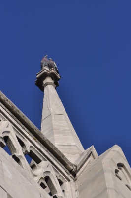 Architecture is for the birds!