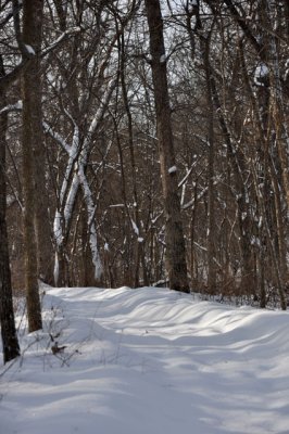 snowy path1