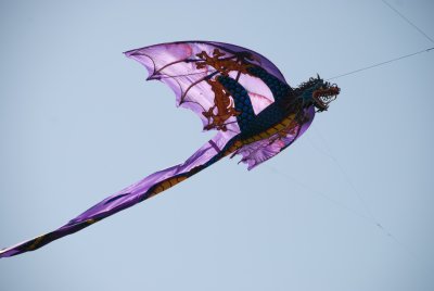 Dragon In Flight_Ingrid Palmore