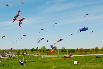 Kites Away-4  by Ray Rosewall.jpg