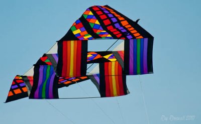 Kites Away by Ray Rosewall.jpg