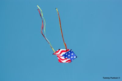 American Flag by Tammy Putman