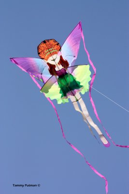 Girl Kite by Tammy Putman