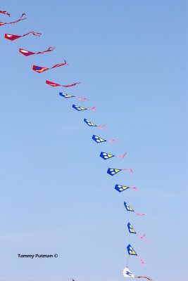 String of Kites by Tammy Putman