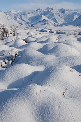 Snow-Denali Natl Park.jpg