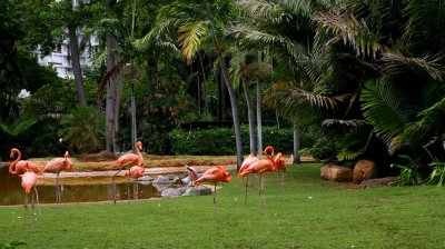 IMG_4438