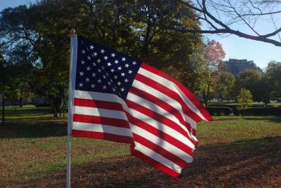 Deering Oaks Healing Field Flags November 11, 2007