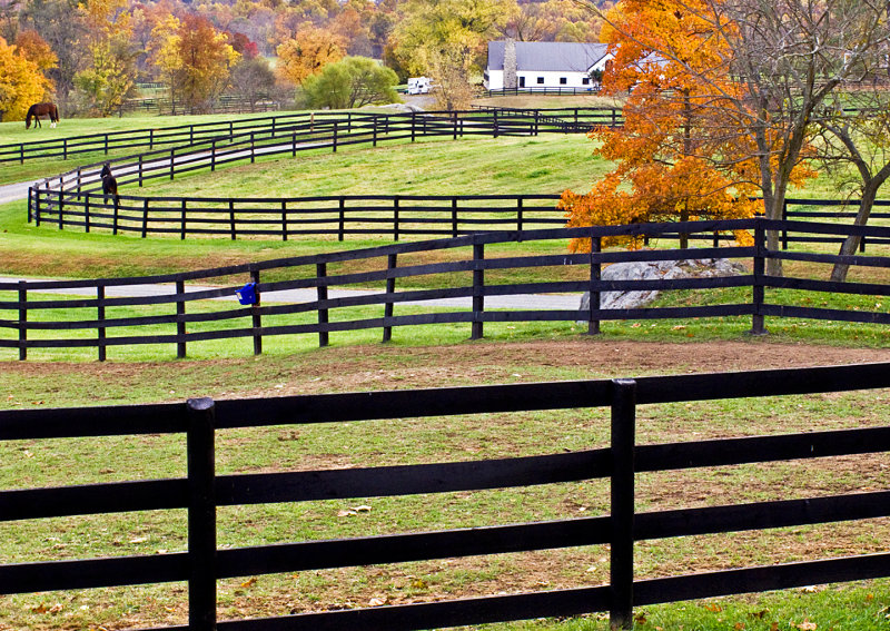Autumn-Farm-Fences