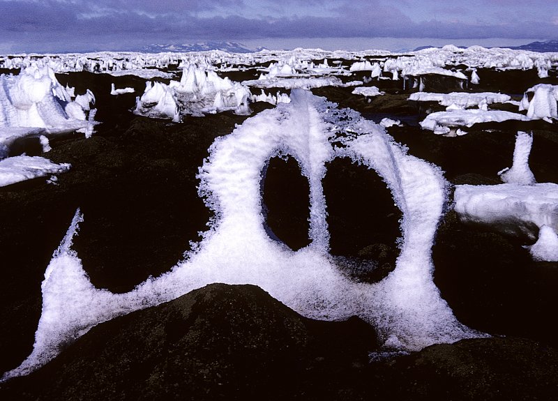 Antarctic-Snow-ice-Forms