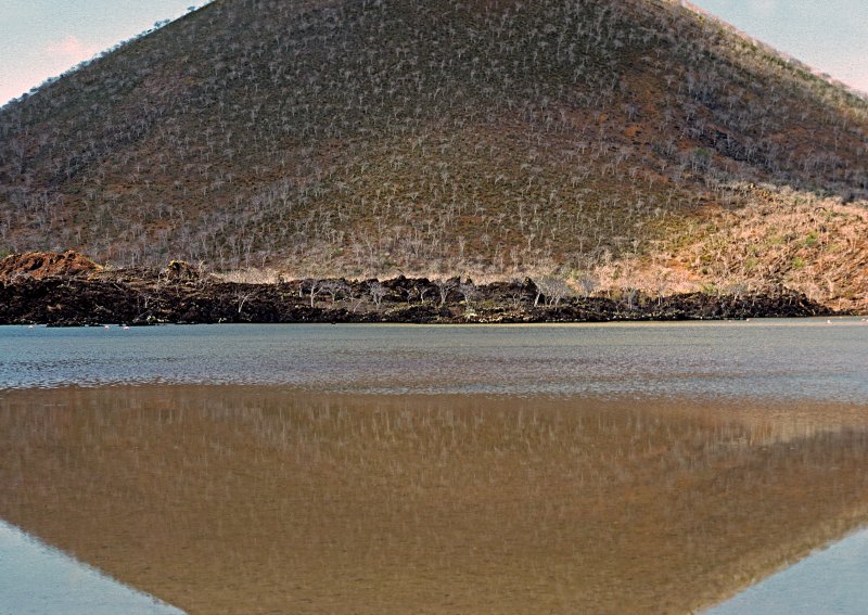 Galapagos-Reflections
