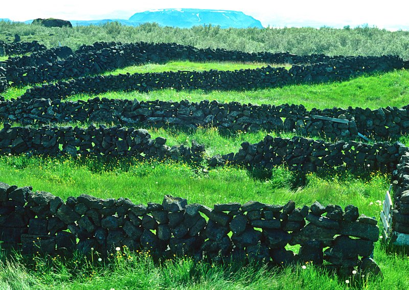 Lava-Fence---Iceland