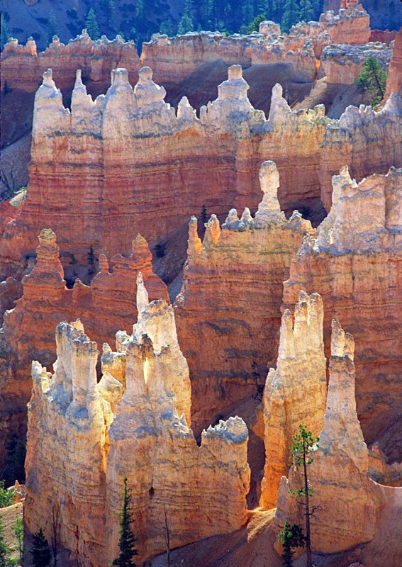 Bryce-Canyon-N.P.--Utah