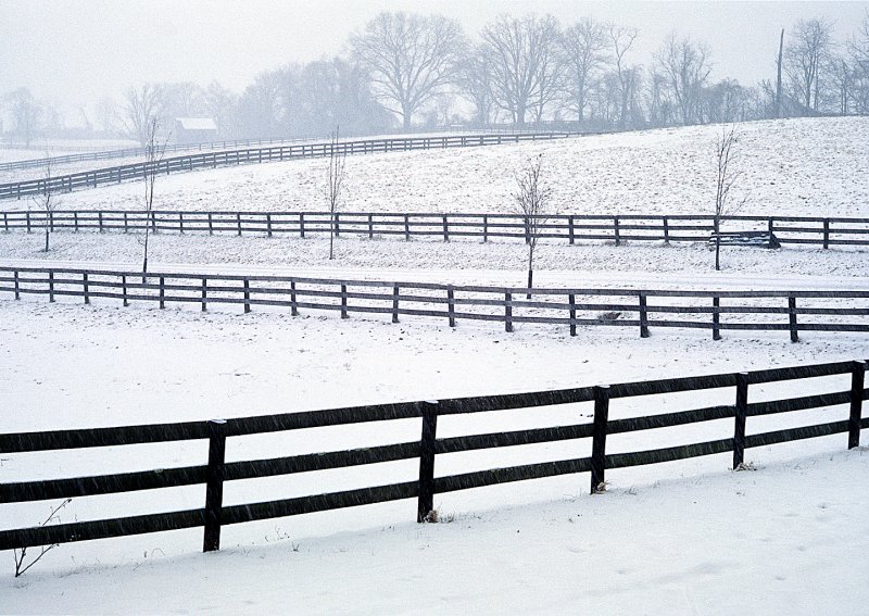 Farm-fence-in-snow