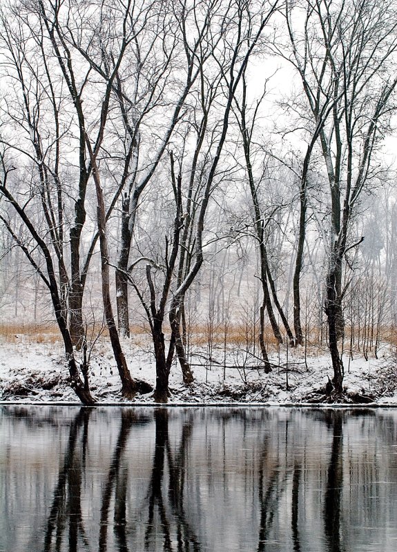 Snowy-trees-reflections