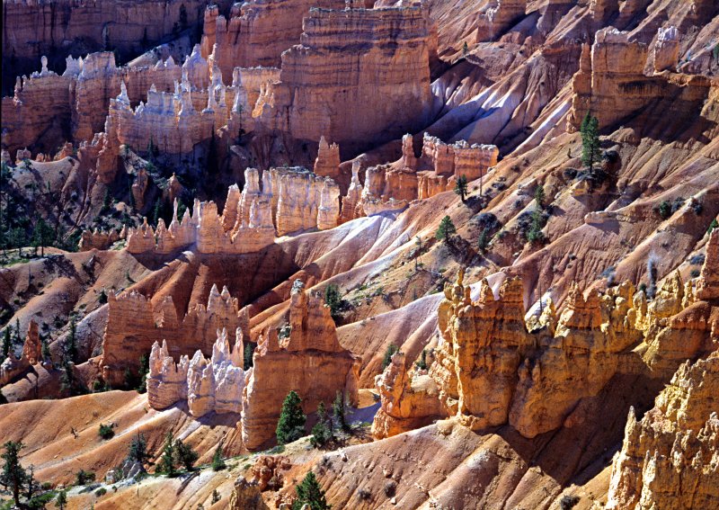 Cedar-Breaks-1 - Ut.