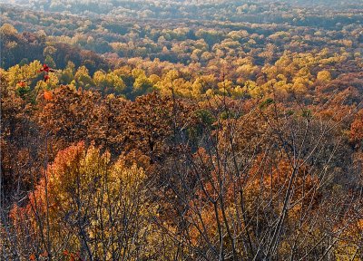 Bears Den View