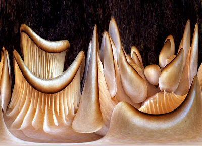 g3/53/827553/3/120303054.RAk4eZWP.jpg