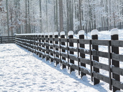 Snow on Fence 2009 December