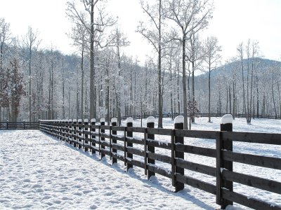 Snow on Fence 2009 December