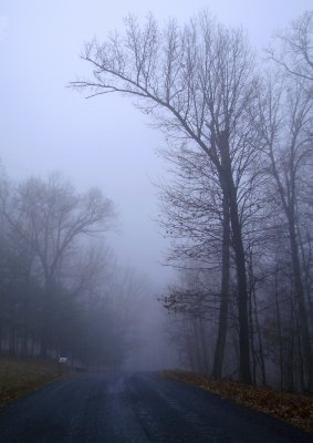 Ebenezer Road in Fog