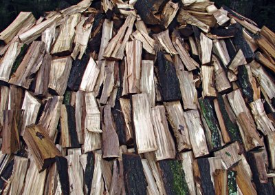 Drying Wood Pile