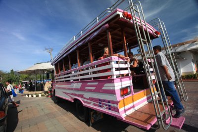 THe pink Bus