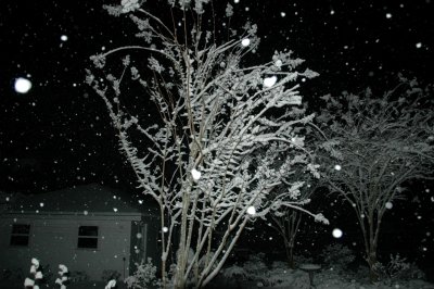g3/53/900553/3/121899450.yL6NlVzv.jpg