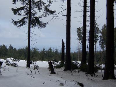 100_1316.JPG